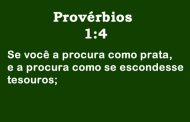 Provérbios 1:4